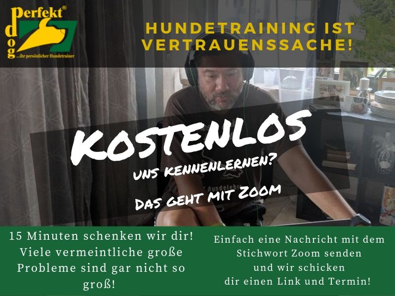 Hundezentrum Main-Spessart